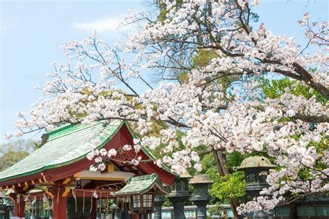 Ueno Kōen: En historisk oas med bambuträdsmystik och konstnärliga upplevelser!