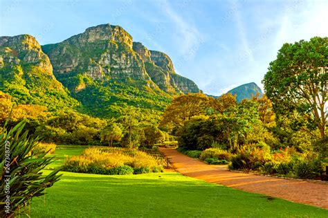  Kirstenbosch National Botanical Garden - En Blomsterparadiset i Cape Towns Hjärtat!